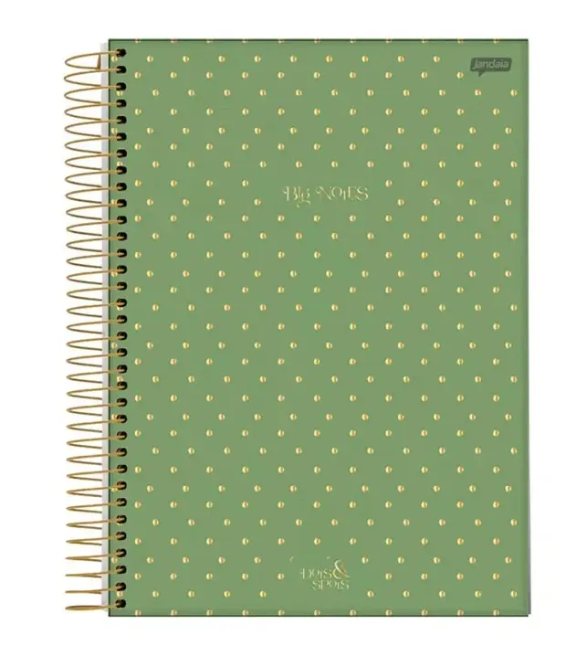 Caderno Universitário 1 Matérias 80 Fls Dots & Spots Jandaia