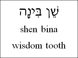 Wisdom Tooth