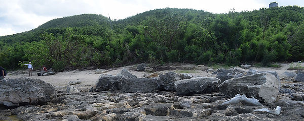 St_Croix_shore_platform_crop.jpg
