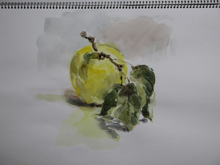 一昨年前の林檎