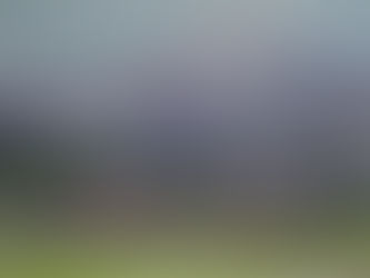 桜と常念岳 水彩・八つ切り