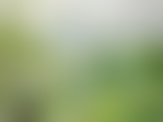 乗鞍スケッチ行