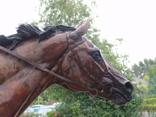 Silent Witness. Lily 154.JPG