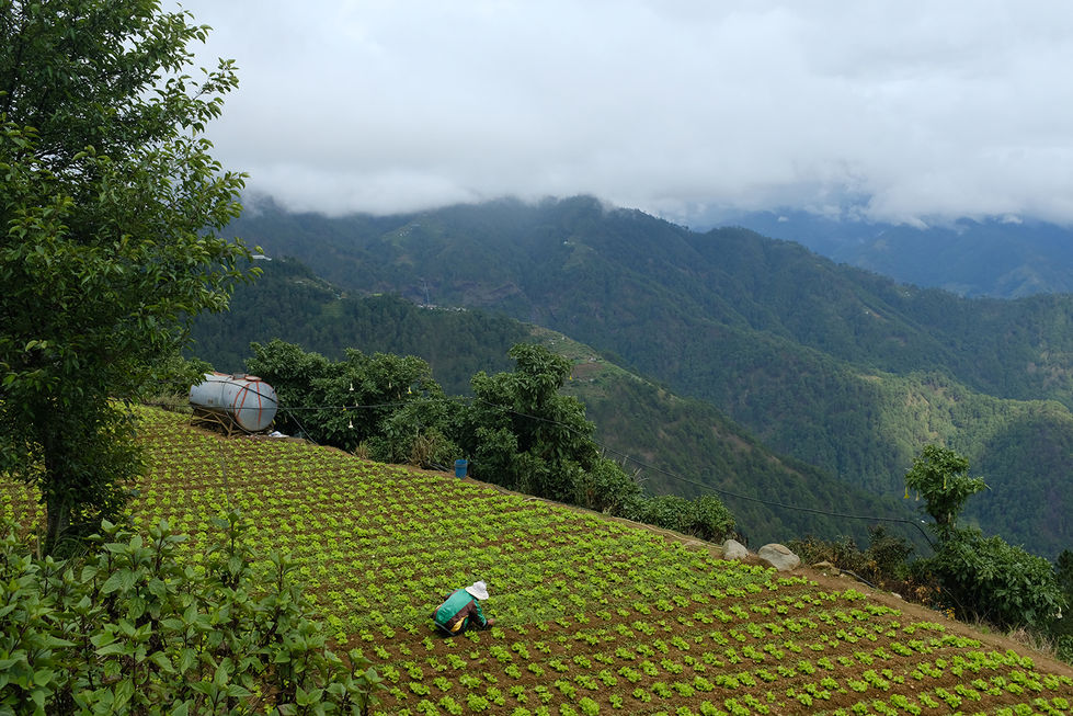 Farming in the mountains