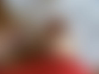 Democrats renew push for no-reason absentee voting