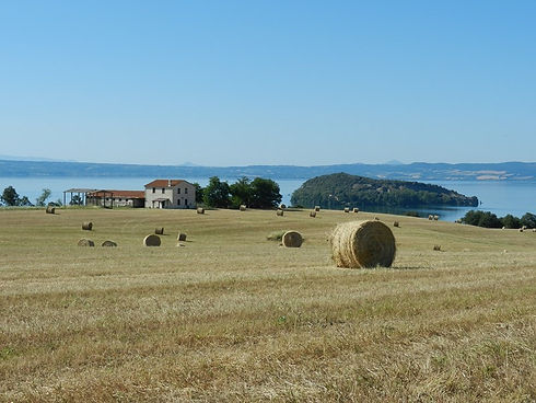 DSCN1288.JPG