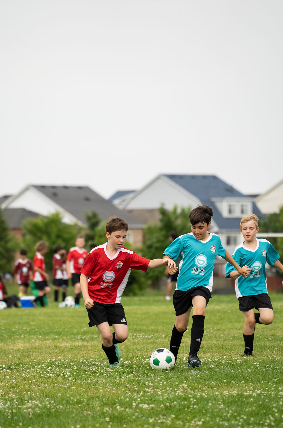 DSC03795_edited