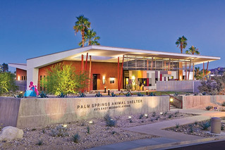 June 2016 Newsletter - Dale Does the Desert