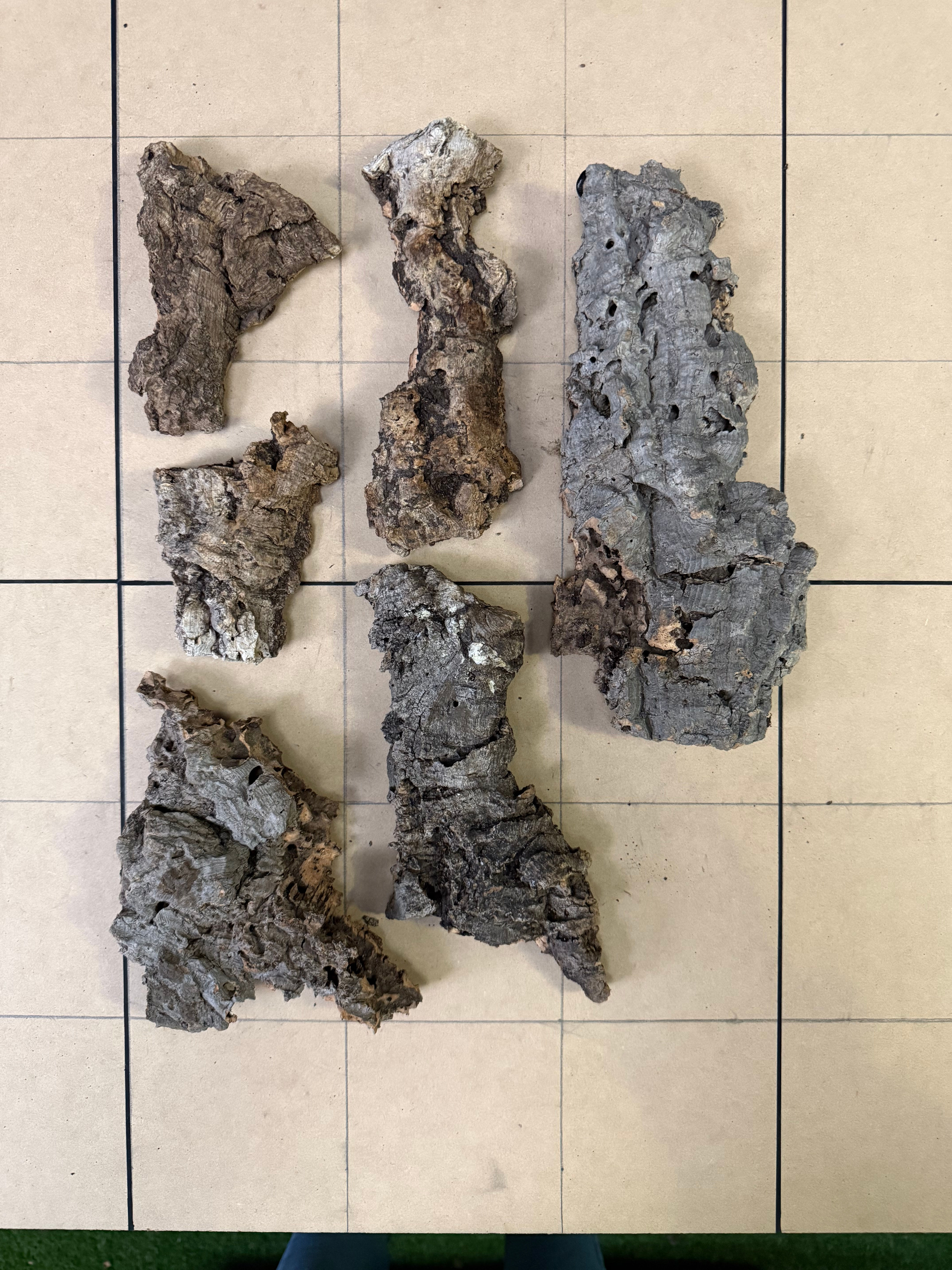 Small Cork Bark – Bundle 5006 – Mini Terrariums & Invertebrate Enclosures
