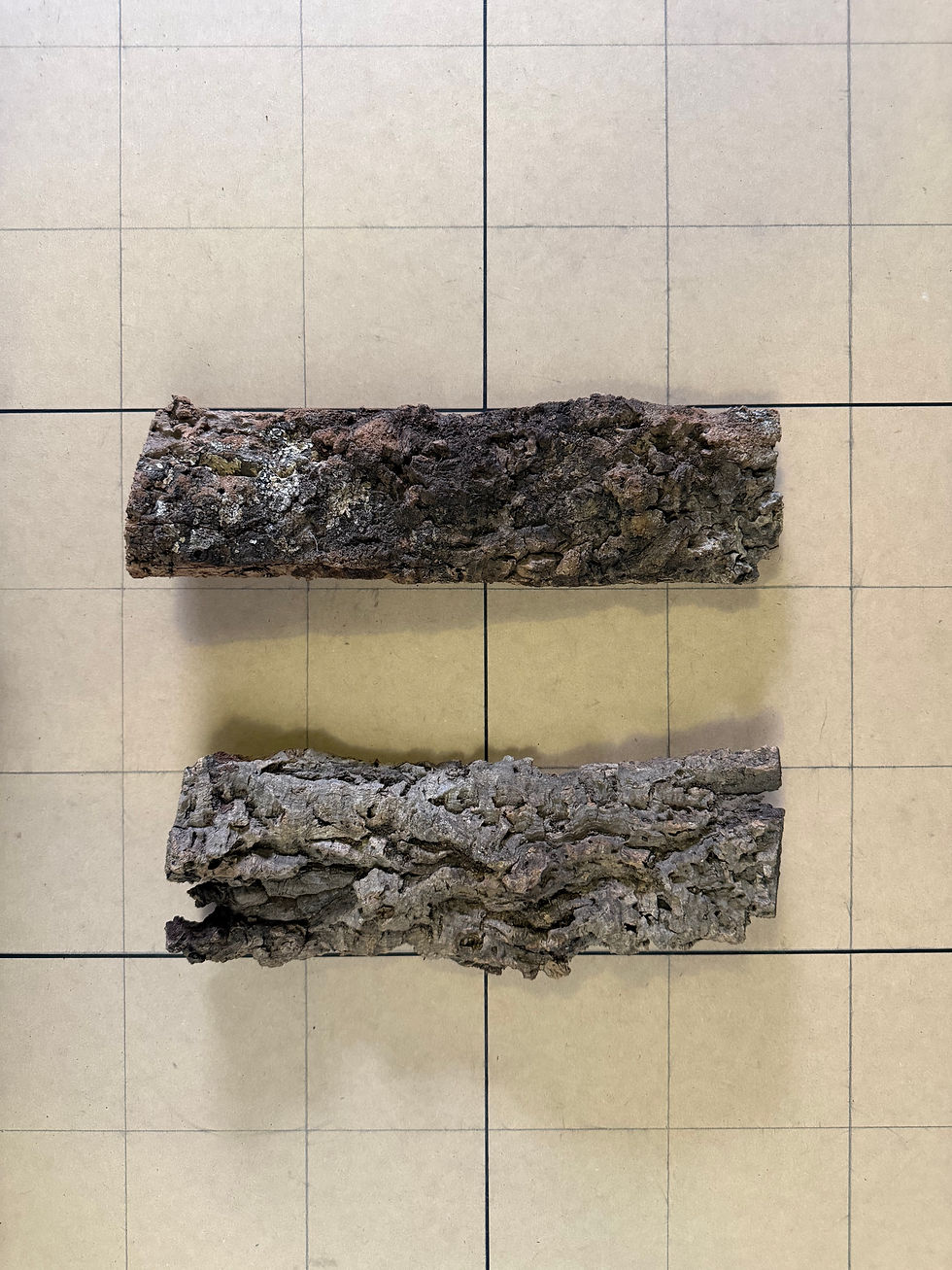 Thumbnail: Flat Cork Bark Pieces - Bundle 9004 - Epiphyte Mounts & Vivariums