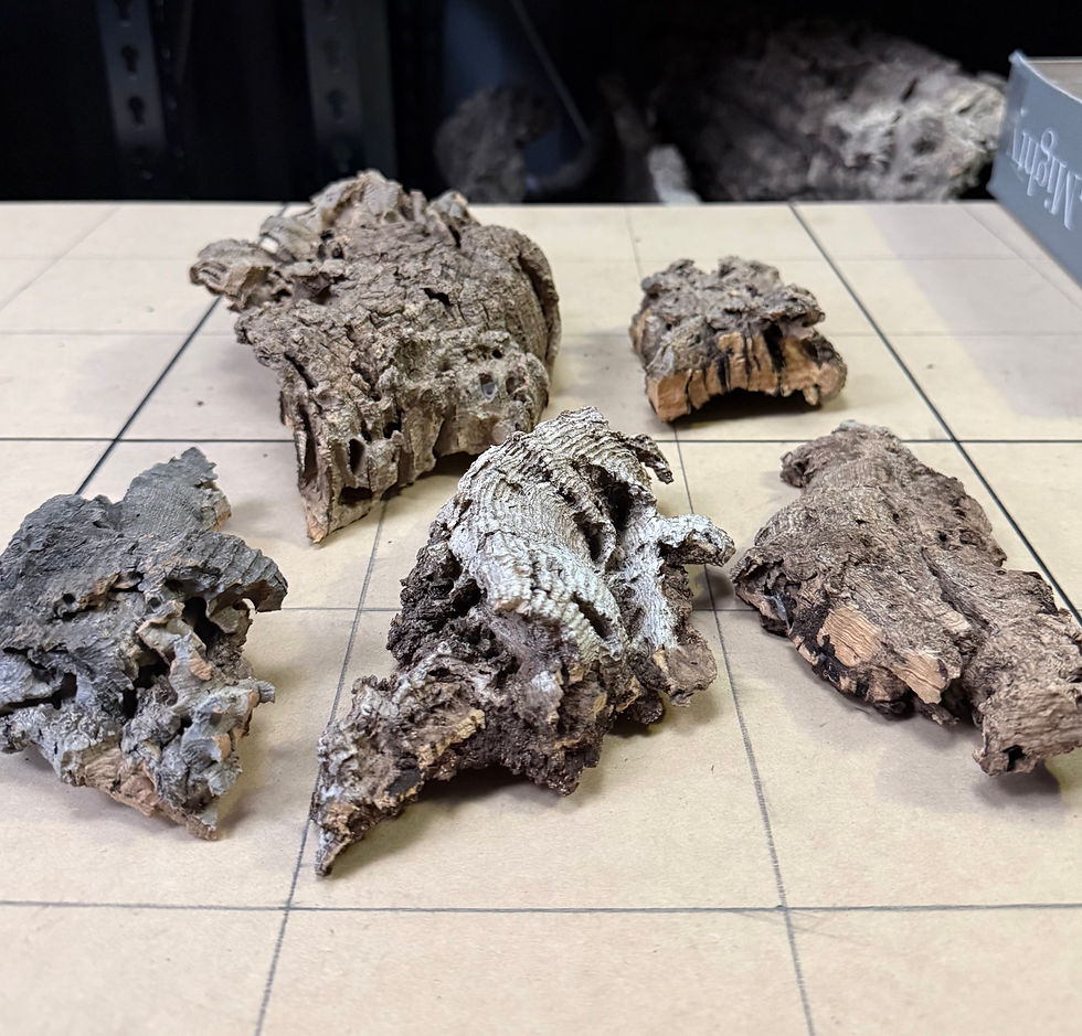 Thumbnail: Small Cork Bark – Bundle 5004 – Mini Enclosures & Terrariums