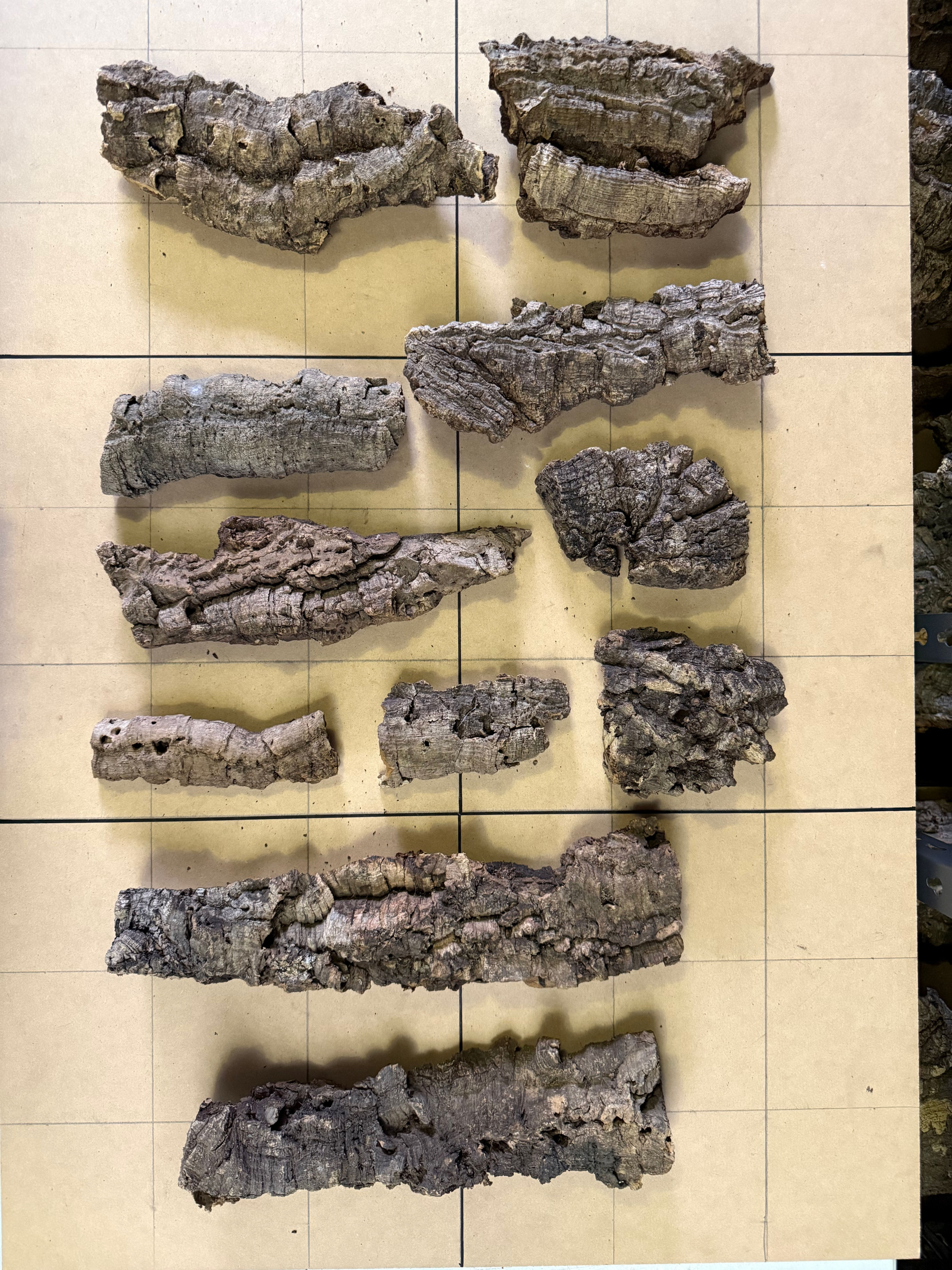 Flat & Curved Cork Bark - Bundle 9001 - Terrariums & Small Lizards