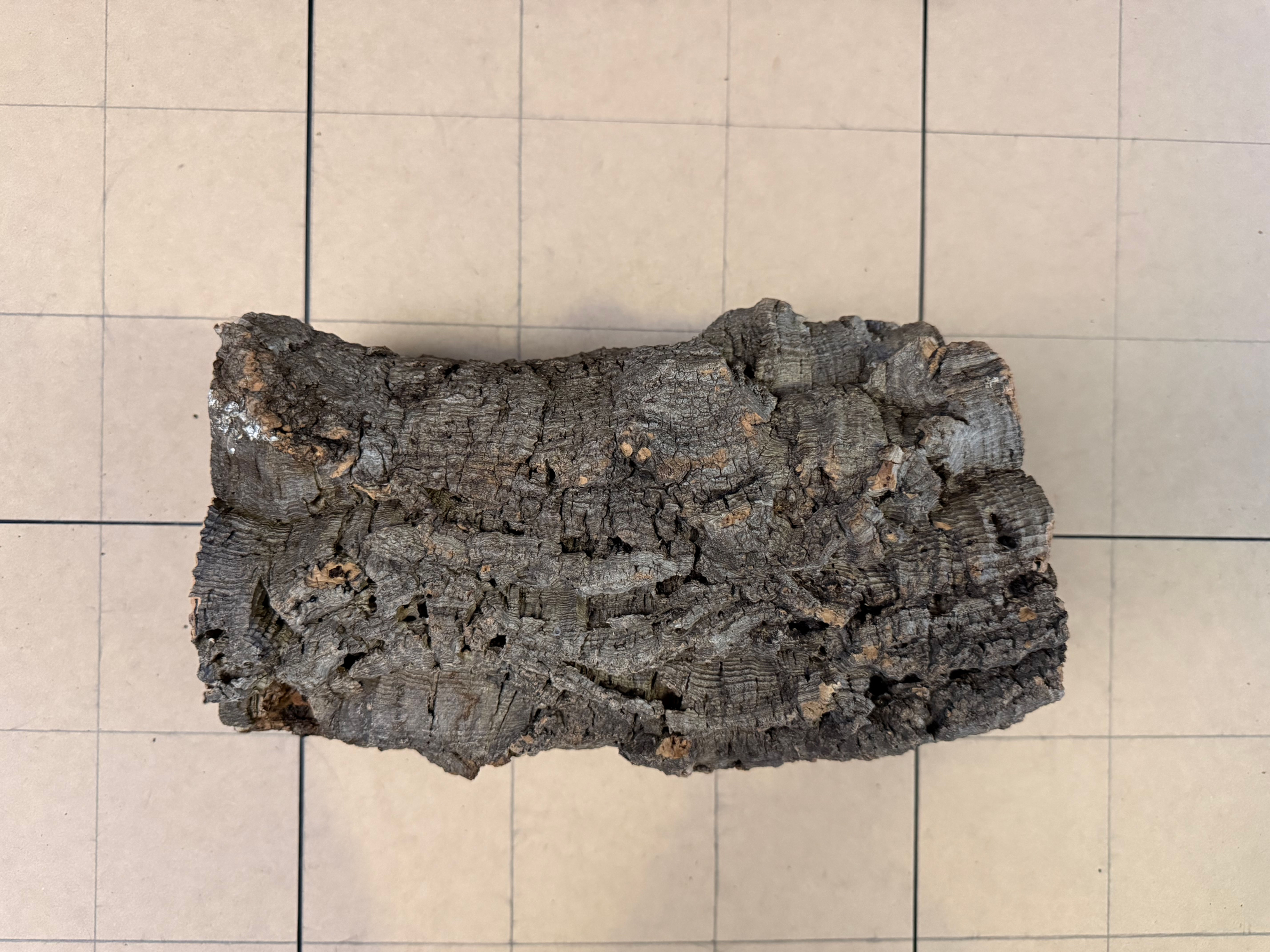 Cork Bark Log - Bundle 7010 - Natural Reptile Climbing Log