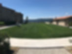 Prato appena falciato