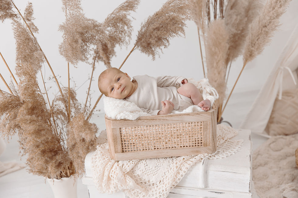 Neugeborenes in Holzkorb auf Decke, fotografiert von Saskia Rachor mit stilvollen Newborn Shooting Requisiten und natürlicher Pampasgras-Dekoration.