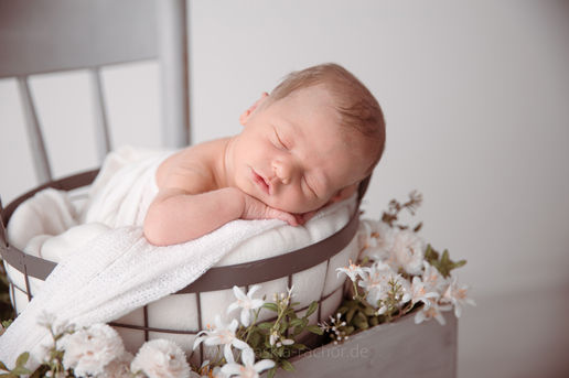 Baby in Korb auf Stuhl bei Neugeborenenfotografie in Darmstadt und Umgebung bei Saskia Rachor