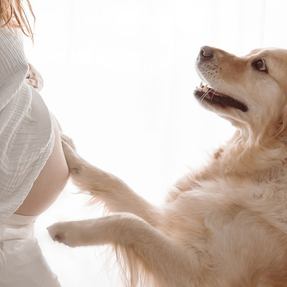 Frau mit Hund beim Babybauch Shooting in Darmstadt bei Saskia Rachor