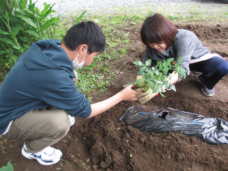あおば菜園~野菜の苗植え~