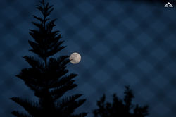 Despertar+de+energía