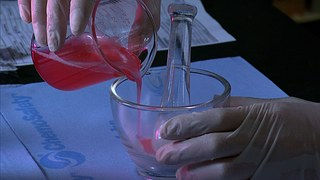 Research Microbiology