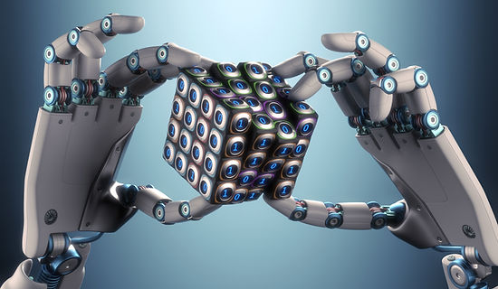 Robot
