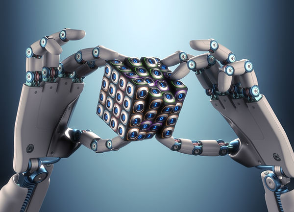 Robot