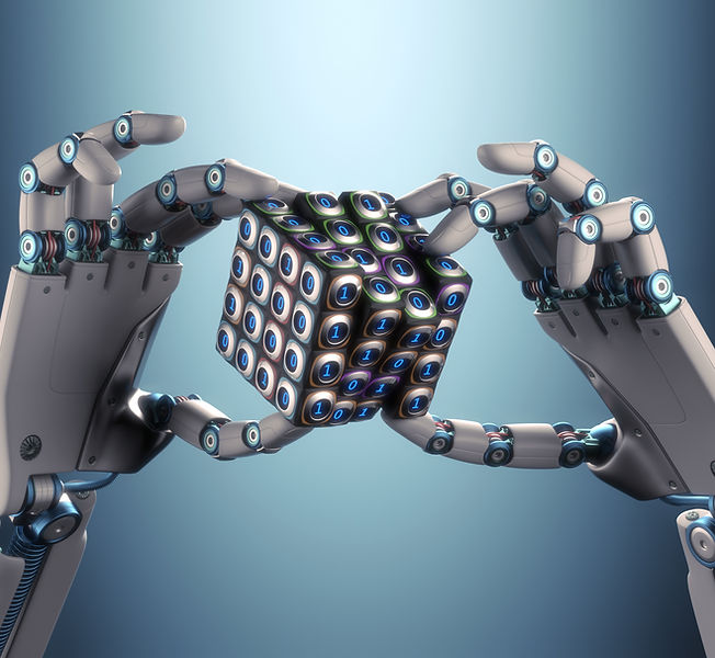 Robot