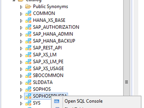 BACKUP HANA