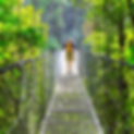 Eco-Holidays-square-image-400x400-c.png