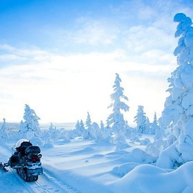 EasterLapland-800x500-c-433x431-c.jpg