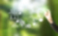 AdobeStock_105725073.jpeg