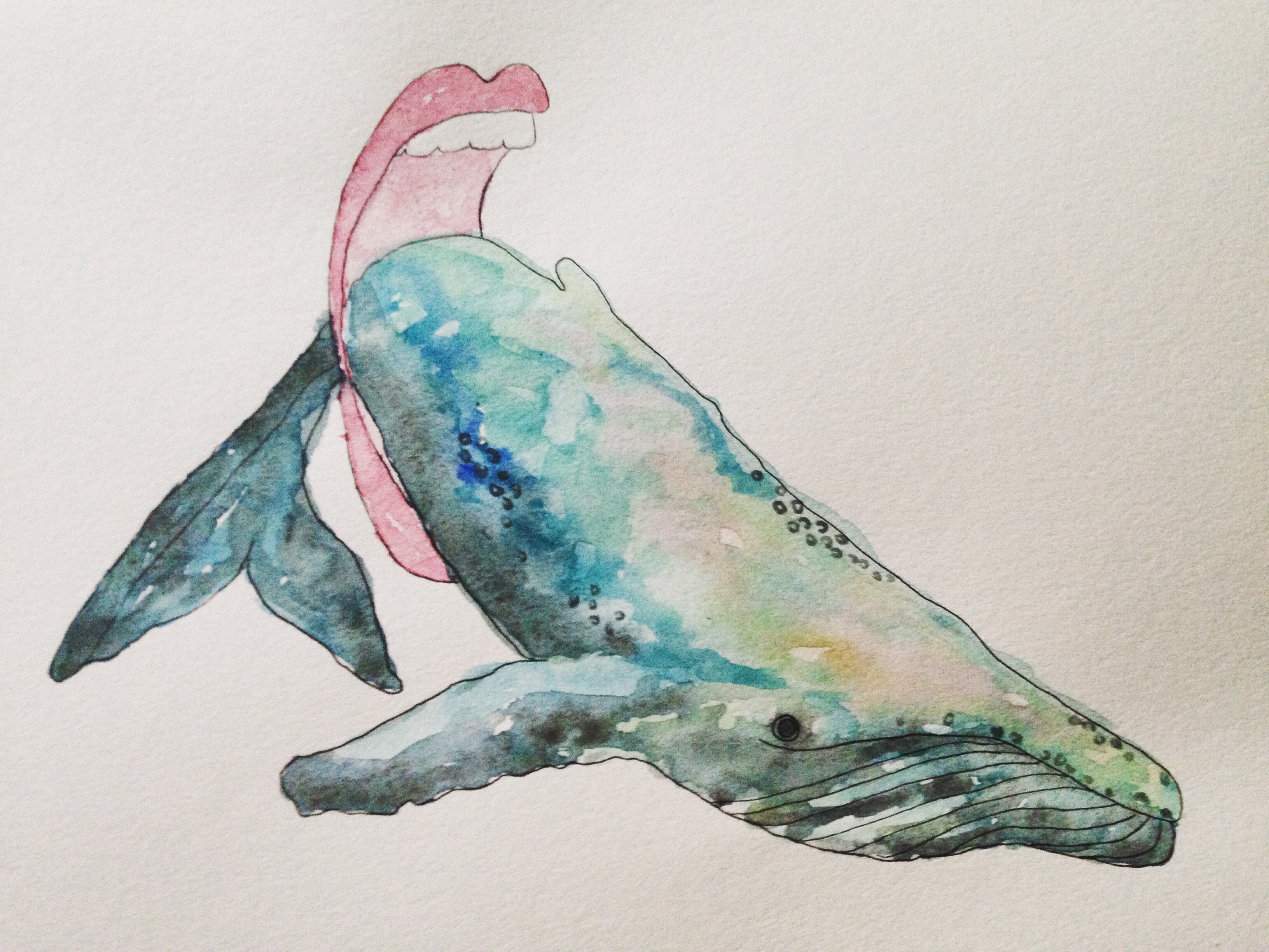 Whale Dreams