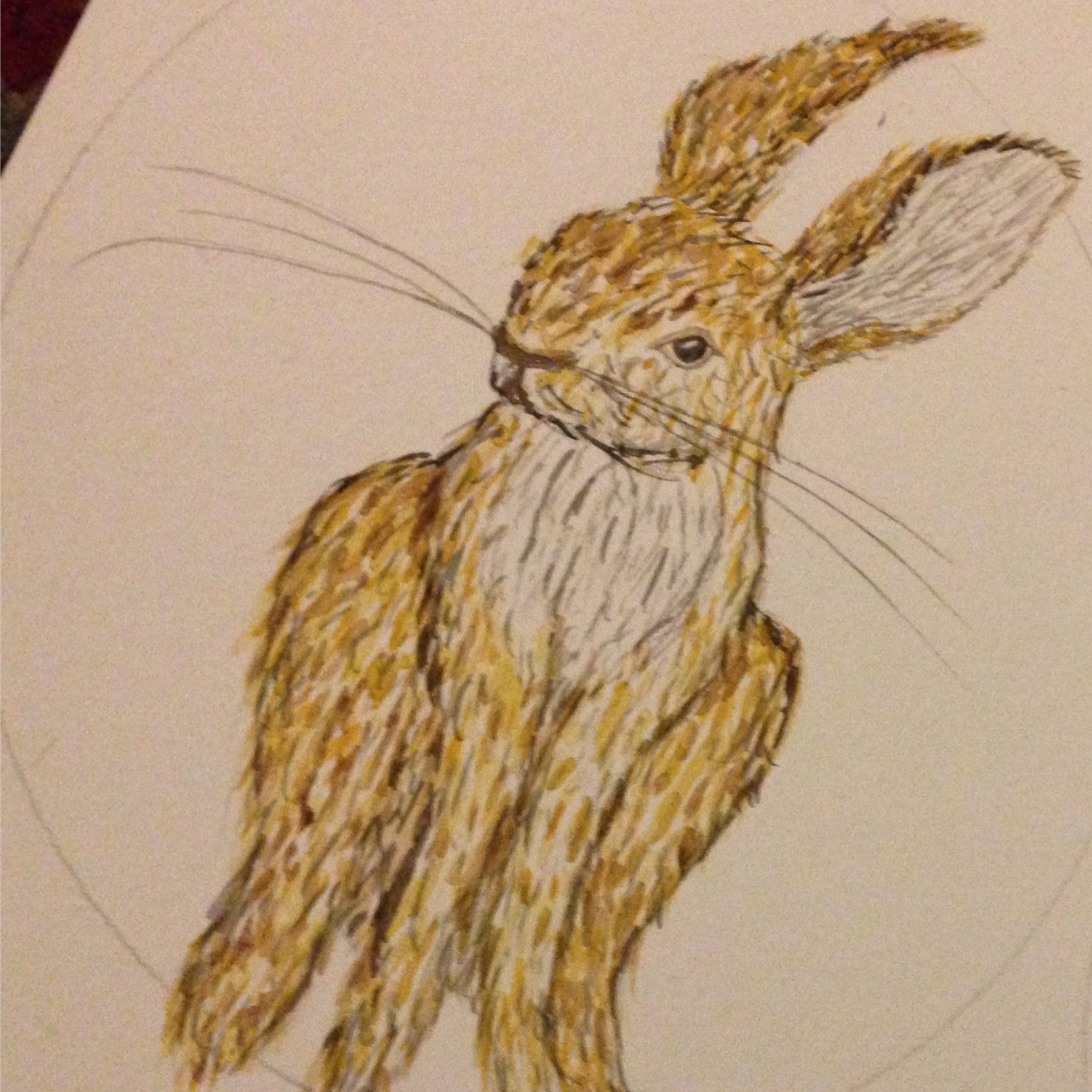 Hare Past A Freckle