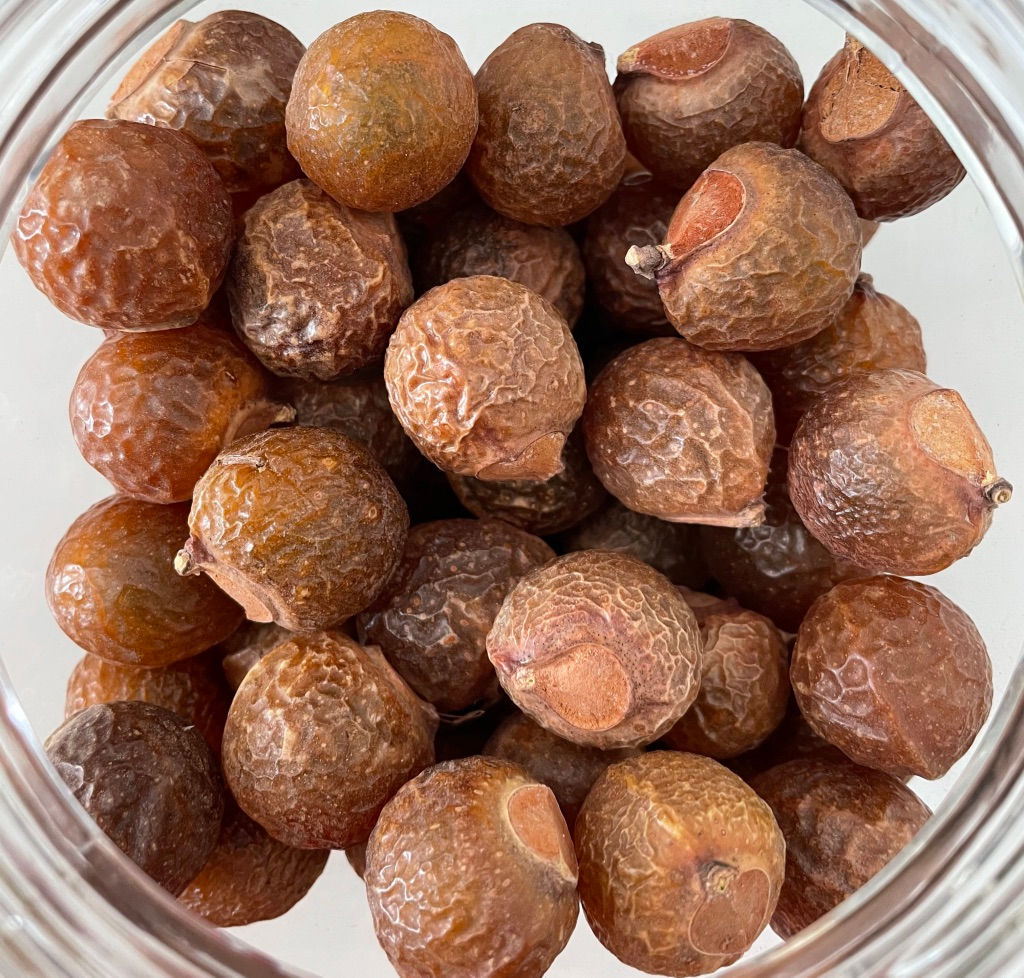 Soapnuts (Reetha)