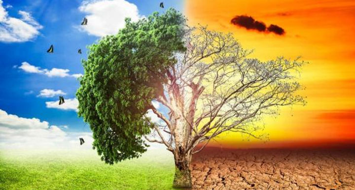 IMPACTO AMBIENTAL.jpg