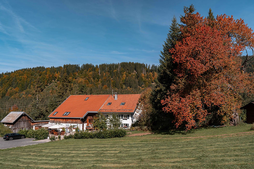 Der Hof mit den Ferienwohnungen von Süden mit Sitzbereich für Gäste