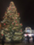 IMG_4087.jpeg