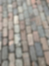 IMG_3638.jpeg