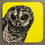 Thumbnail: Owl drinks coasters - Set of four