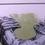 Thumbnail: Skull print in sage with white mount