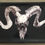 Thumbnail: Large tray - grey horns