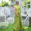 Thumbnail: Fantastic Green Colour Gota Work Saree