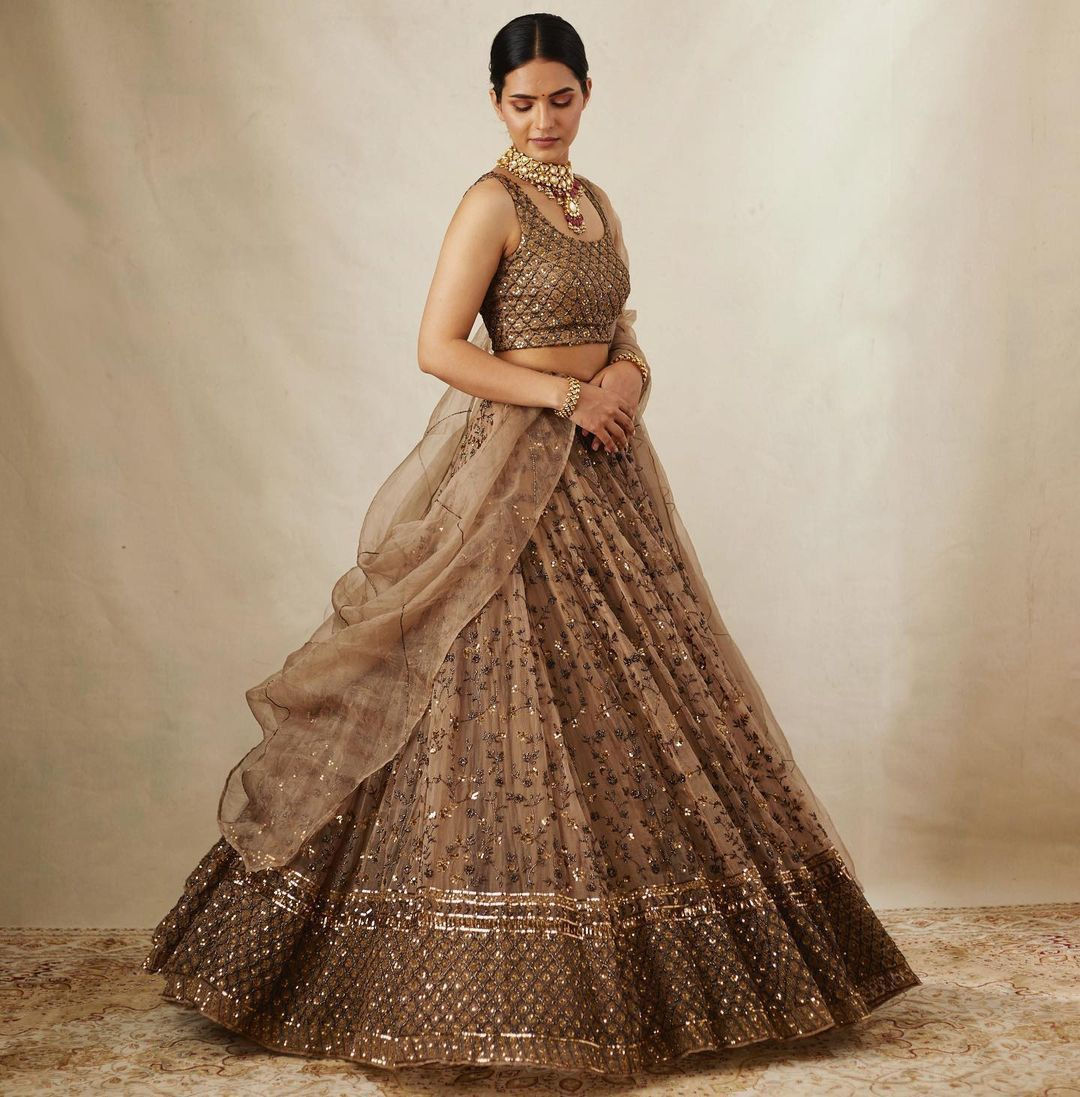 Brown Colour Designer Soft Net Sequence Work Lehenga Choli