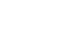 עיצוב ללא שם (2).png