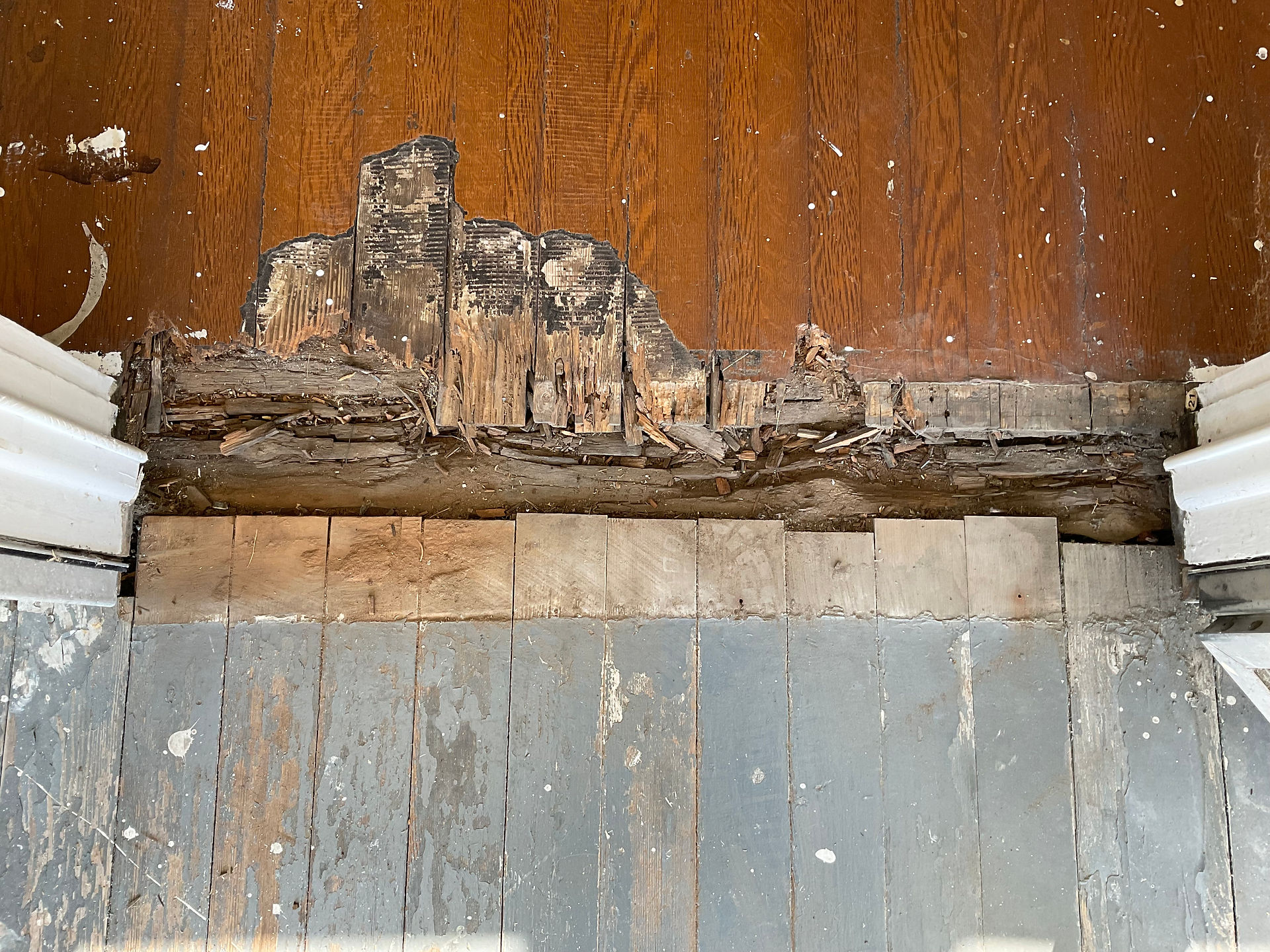 Dry rot found under front door