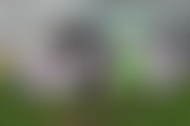 Einlaufkinder der SG Möning/Rohr erleben Fußballabend in Ansbach