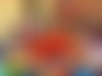 Saisonabschluss der Bambini U7 des FC Möning