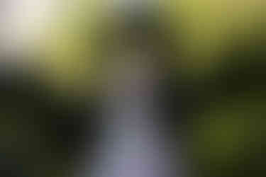 Duke Mansion in Charlotte NC Wedding Photography couple in the garden