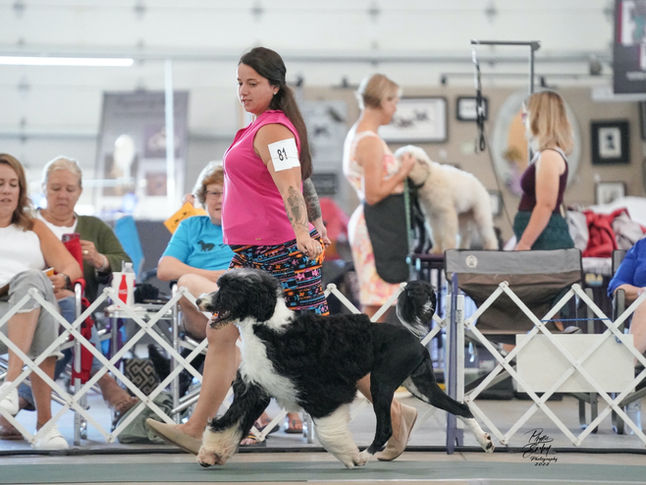 Brewer digital WN_02057_edited.jpg