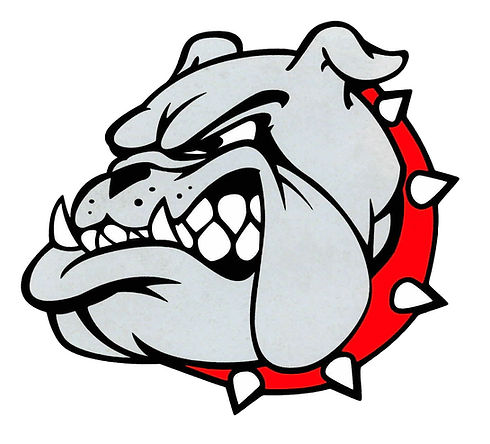 Boiling Springs bulldog.jpg